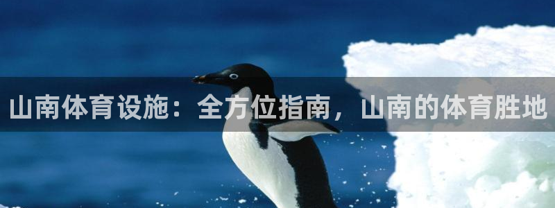 意昂体育3平台是正规平台吗安全吗：山南体育设施：全方位指南，