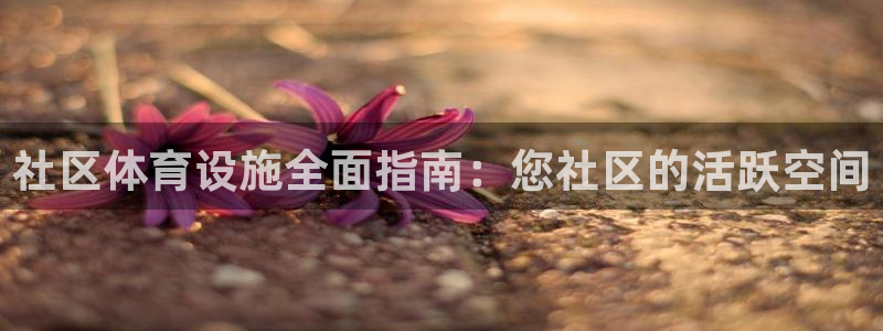 意昂体育3平台是正规平台吗知乎：社区体育设施全面指南