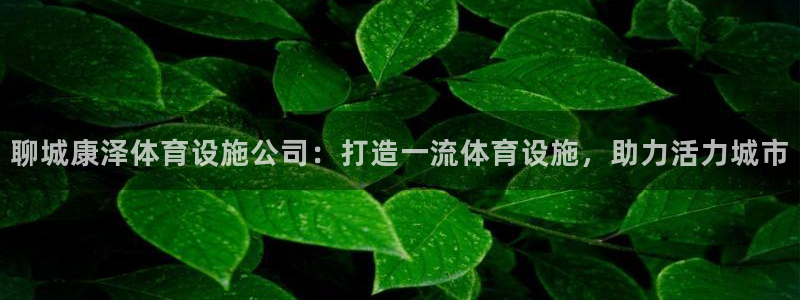 意昂3娱乐代理怎么样：聊城康泽体育设施公司：打造一流