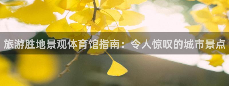 意昂3集团logo：旅游胜地景观体育馆指南：令人惊叹