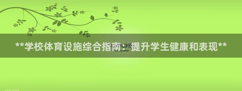 意昂3代理：**学校体育设施综合指南：提升学生健康和