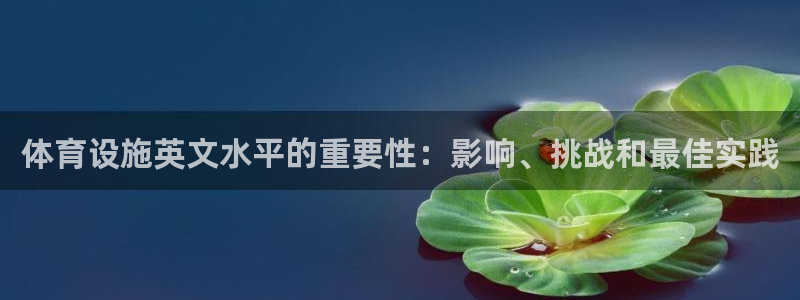 意昂3科技：体育设施英文水平的重要性：影响、挑战和最