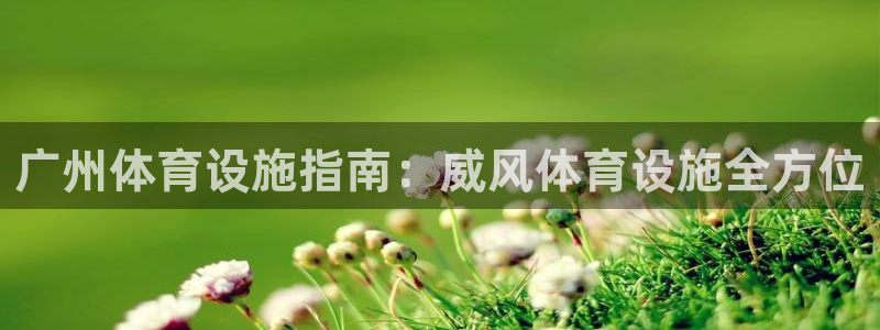 意昂3开户：广州体育设施指南：威风体育设施全方位