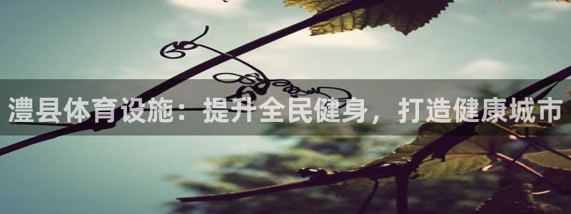 意昂体育3招商电话是多少号码：澧县体育设施：提升全民