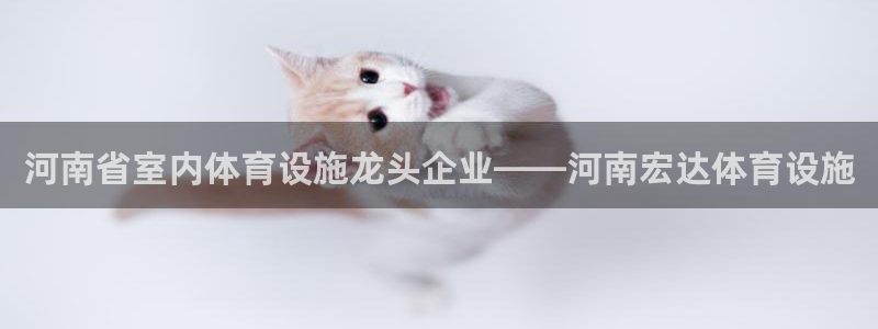 意昂3神州：河南省室内体育设施龙头企业——河南宏达体