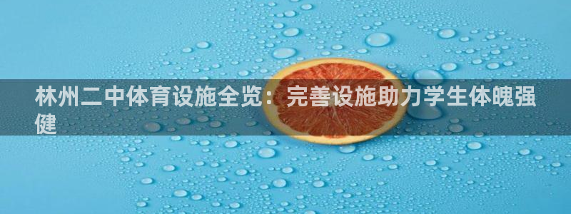 意昂体育3是干嘛的公司：林州二中体育设施全览：完善设
