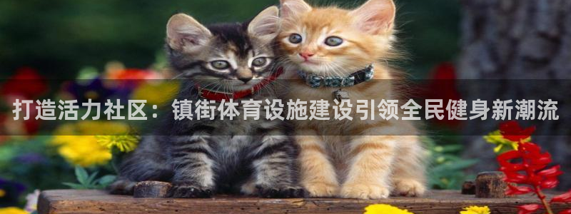 意昂3娱乐是那个系列的台子：打造活力社区：镇街体育设