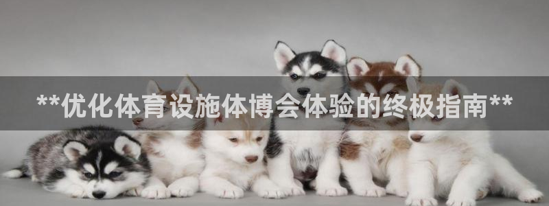 意昂体育3招商电话：**优化体育设施体博会体验的终极