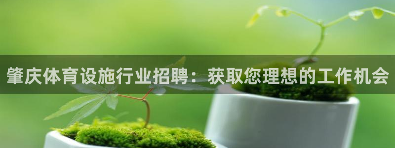 海南意昂体育3发展怎么样：肇庆体育设施行业招聘：获取