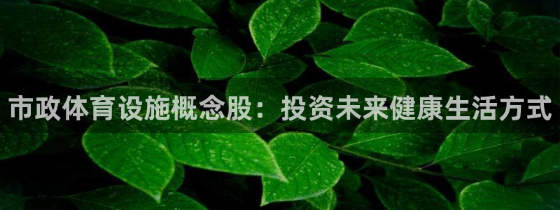 意昂体育3招商电话号码是多少号：市政体育设施概念股：