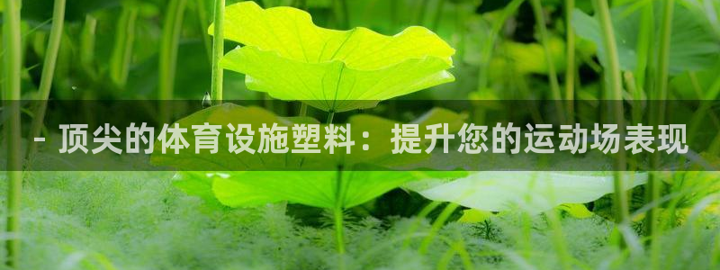 意昂集团官网：- 顶尖的体育设施塑料：提升您的运动场