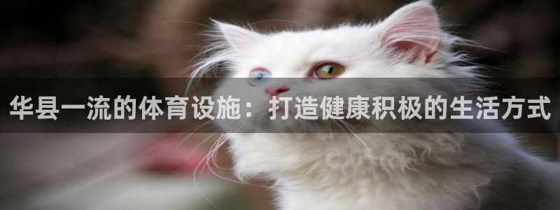 德国意昂3集团：华县一流的体育设施：打造健康积极的生