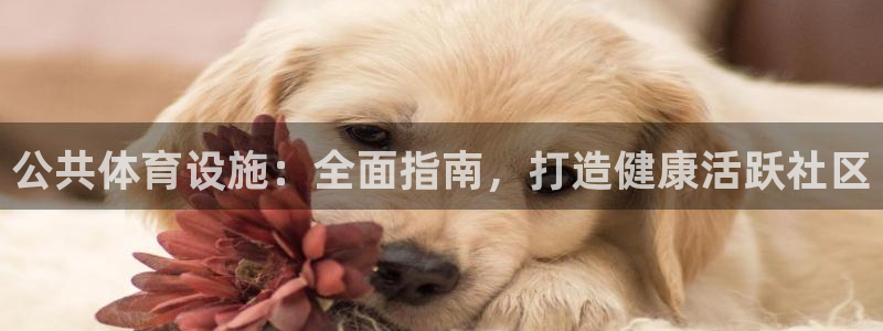 意昂3科技：公共体育设施：全面指南，打造健康活跃社区