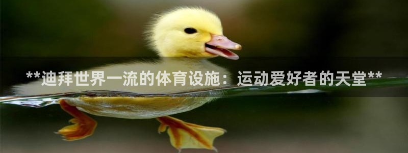 注册意昂3