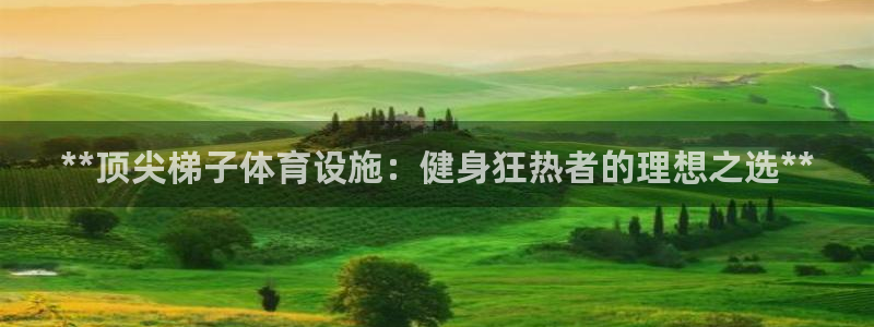 意昂体育3是干嘛的公司：**顶尖梯子体育设施：健身狂
