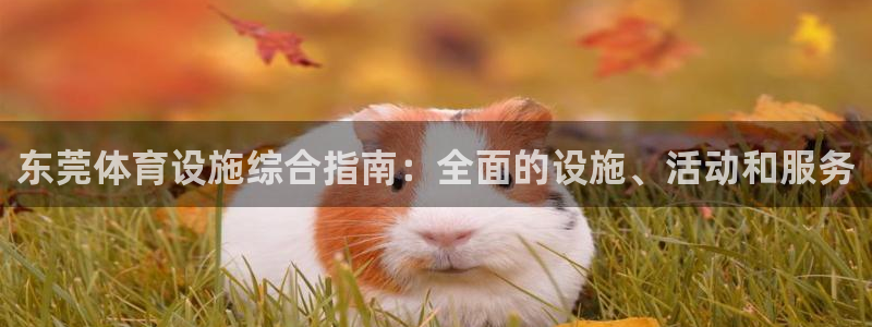 意昂3神州