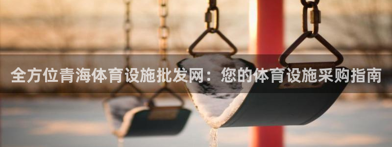 意昂3集团E.ON：全方位青海体育设施批发网：您的体