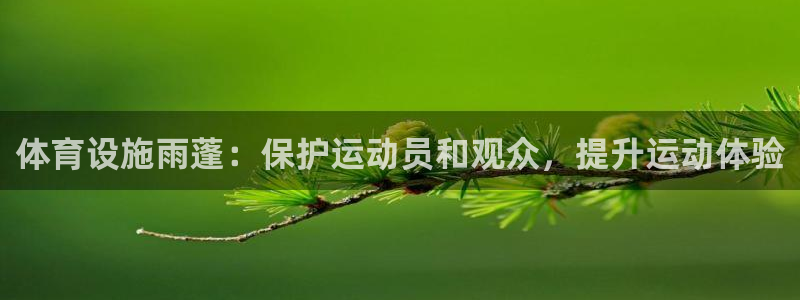 意昂体育3招商电话是多少：体育设施雨蓬：保护运动员和观众，提