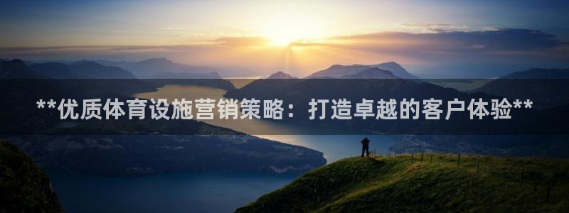意昂体育3是干嘛的公司：**优质体育设施营销策略：打造卓越的