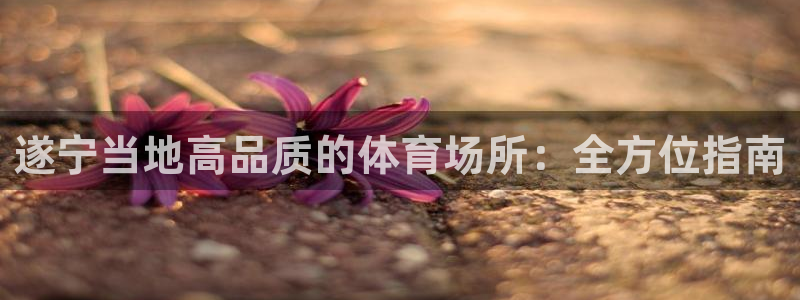 德国意昂3集团：遂宁当地高品质的体育场所：全方位指南