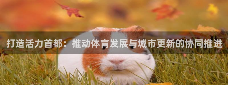 意昂体育3招商