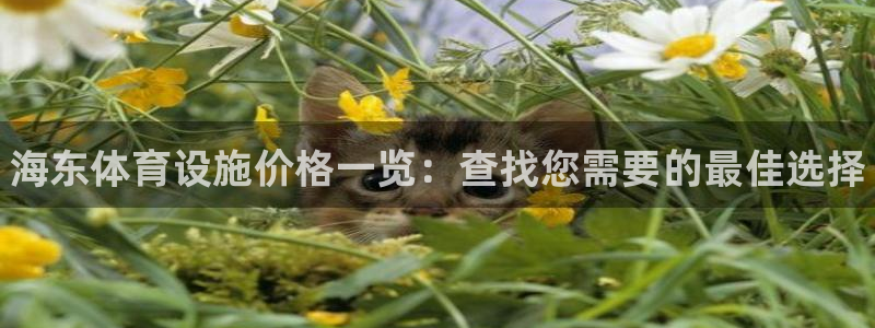 意昂3娱乐首页网站大全：海东体育设施价格一览：查找您