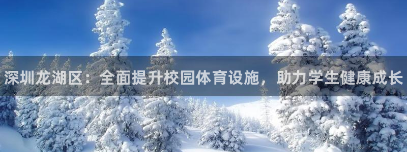 意昂3娱乐平台：深圳龙湖区：全面提升校园体育设施，助力学生健