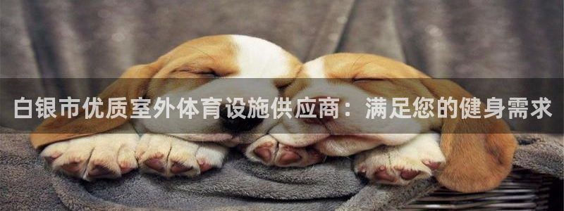 意昂3娱乐是那个系列的台子：白银市优质室外体育设施供应商：满 