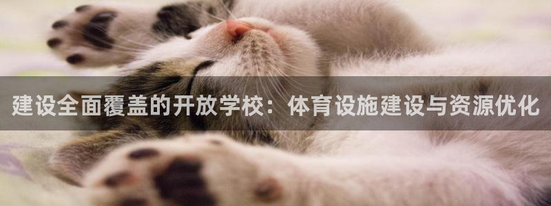 意昂平台体育