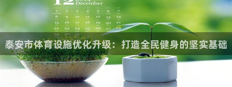 意昂体育3娱乐：泰安市体育设施优化升级：打造全民健身的坚实基