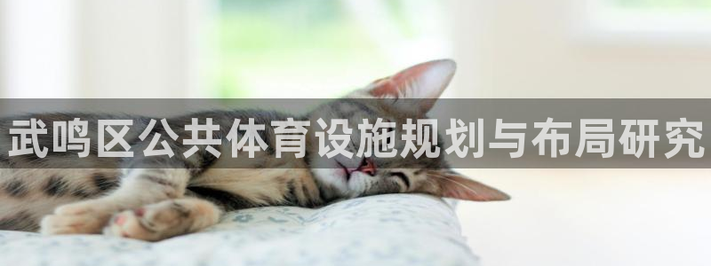 意昂3娱乐首页网站大全：武鸣区公共体育设施规划与布局研究