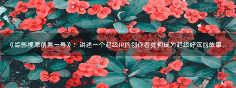 yy6080新视觉殇情影院：《综影视原创男一号》：讲述一个超级IP的创作者如何成为超级好汉的故事。
