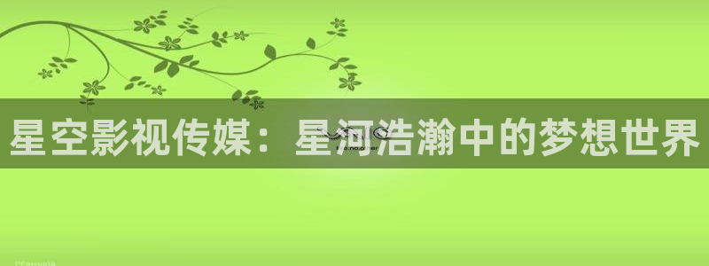 yy殇情影院：星空影视传媒：星河浩瀚中的梦想世界