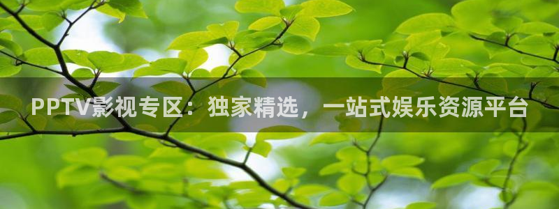 殇情影院：PPTV影视专区：独家精选，一站式娱乐资源平台