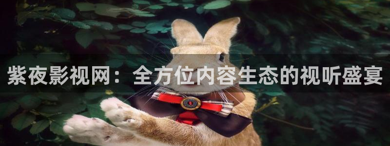 青苹果殇情影院：紫夜影视网：全方位内容生态的视听盛宴