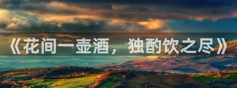 殇情影院6080：《花间一壶酒，独酌饮之尽》