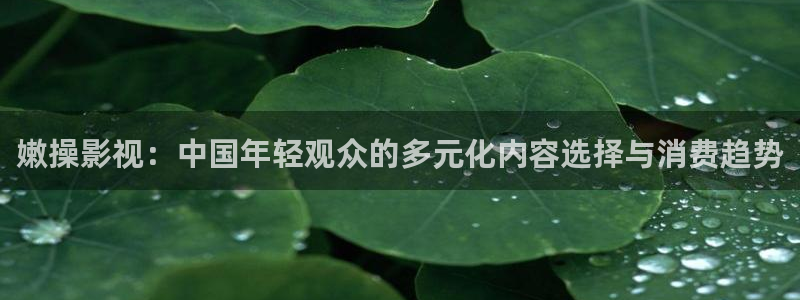 殇情影院yy：嫩操影视：中国年轻观众的多元化内容选择与消费趋势