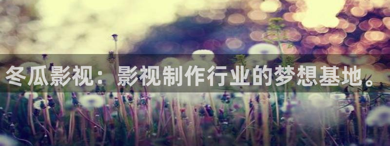殇情影院yy：冬瓜影视：影视制作行业的梦想基地。