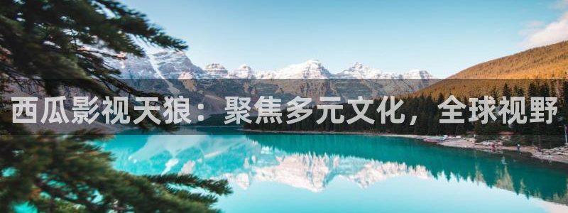 殇情影院4138理论片：西瓜影视天狼：聚焦多元文化，全球视野